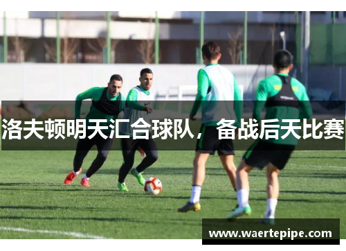 洛夫顿明天汇合球队,备战后天比赛